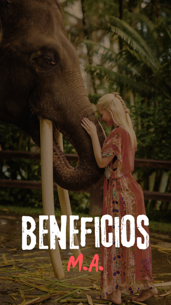 BENEFICIOS Managers para modelos de contenido para adultos