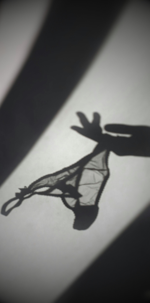 PLATAFORMAS NSFW